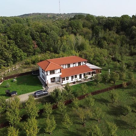 Pensiunea Emelys, Iasi Barnova Exterior foto