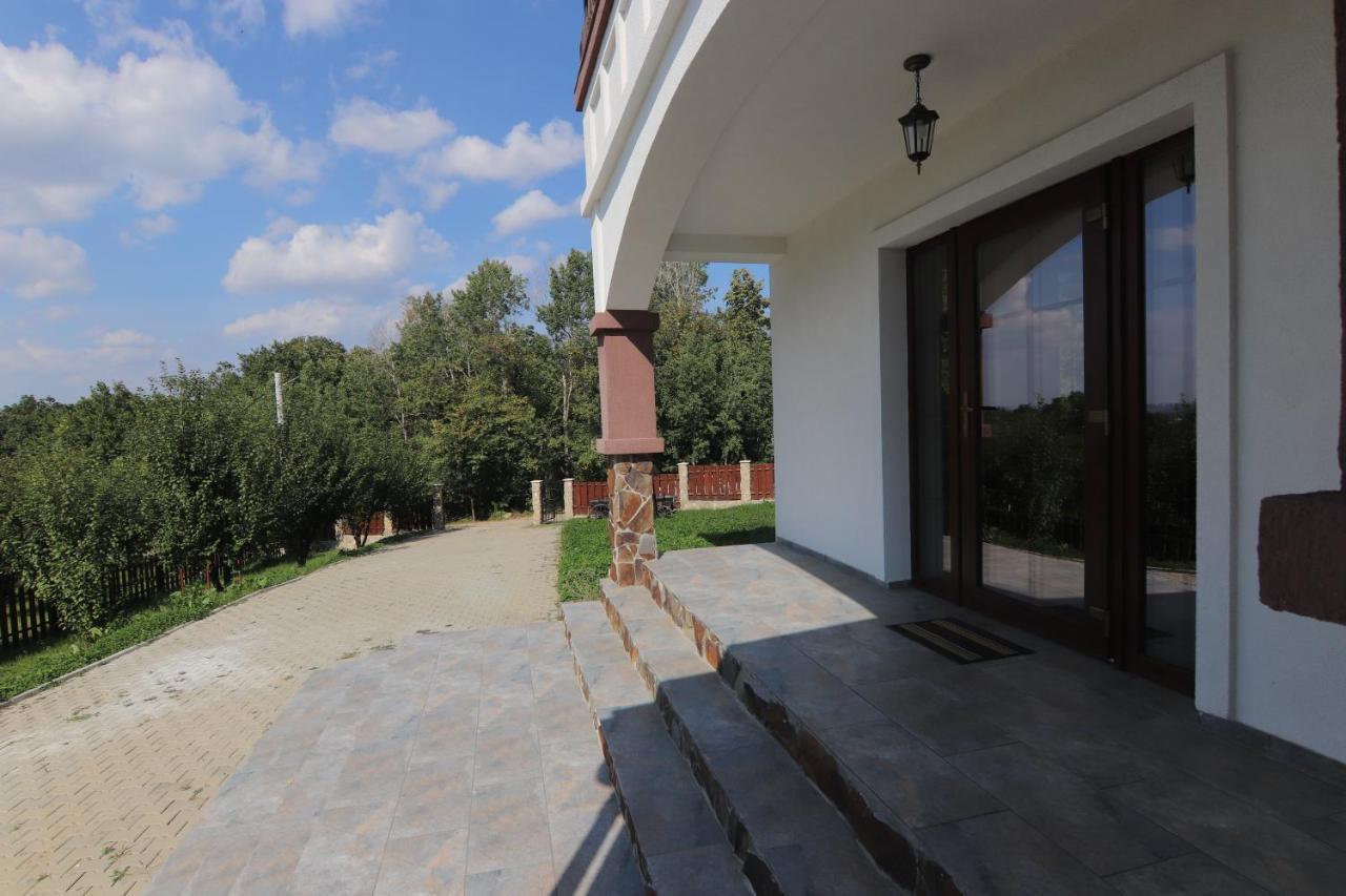 Pensiunea Emelys, Iasi Barnova Exterior foto