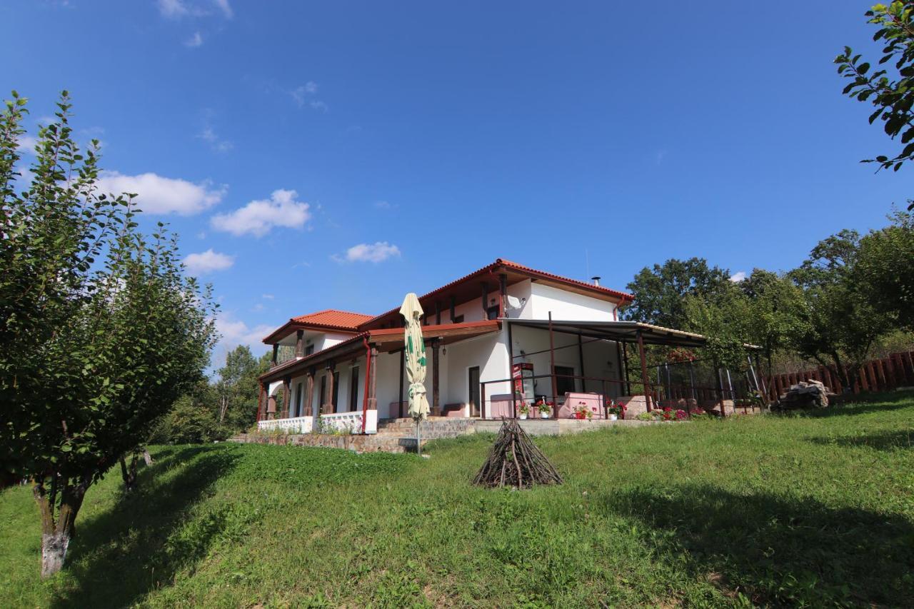 Pensiunea Emelys, Iasi Barnova Exterior foto