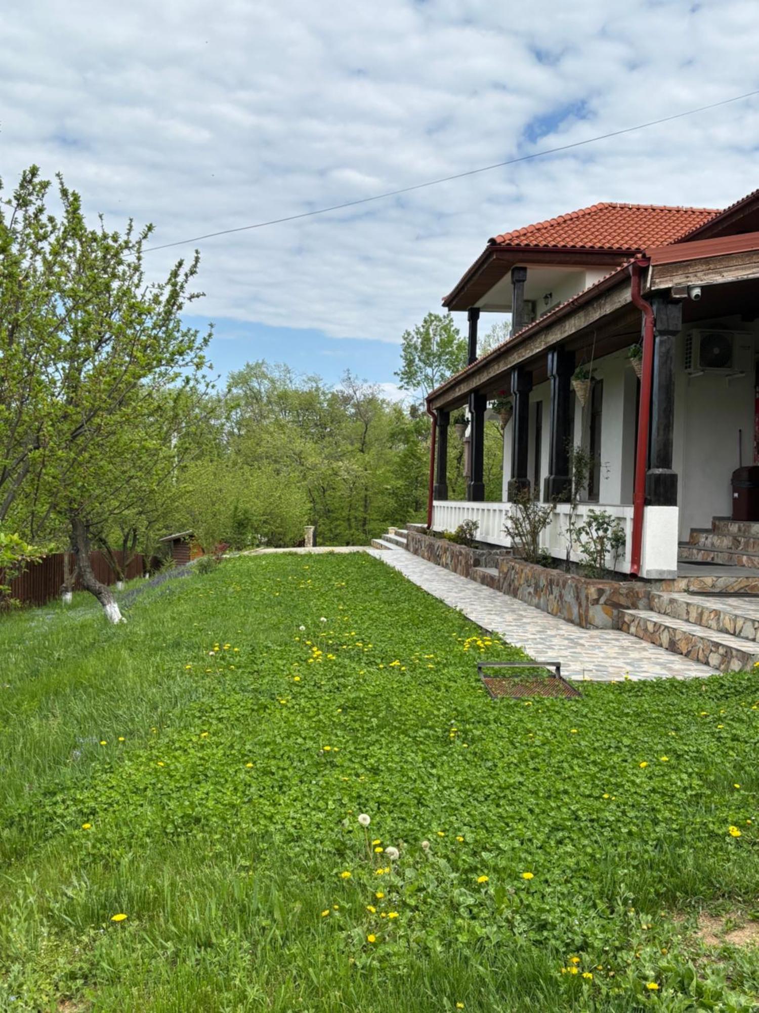 Pensiunea Emelys, Iasi Barnova Exterior foto