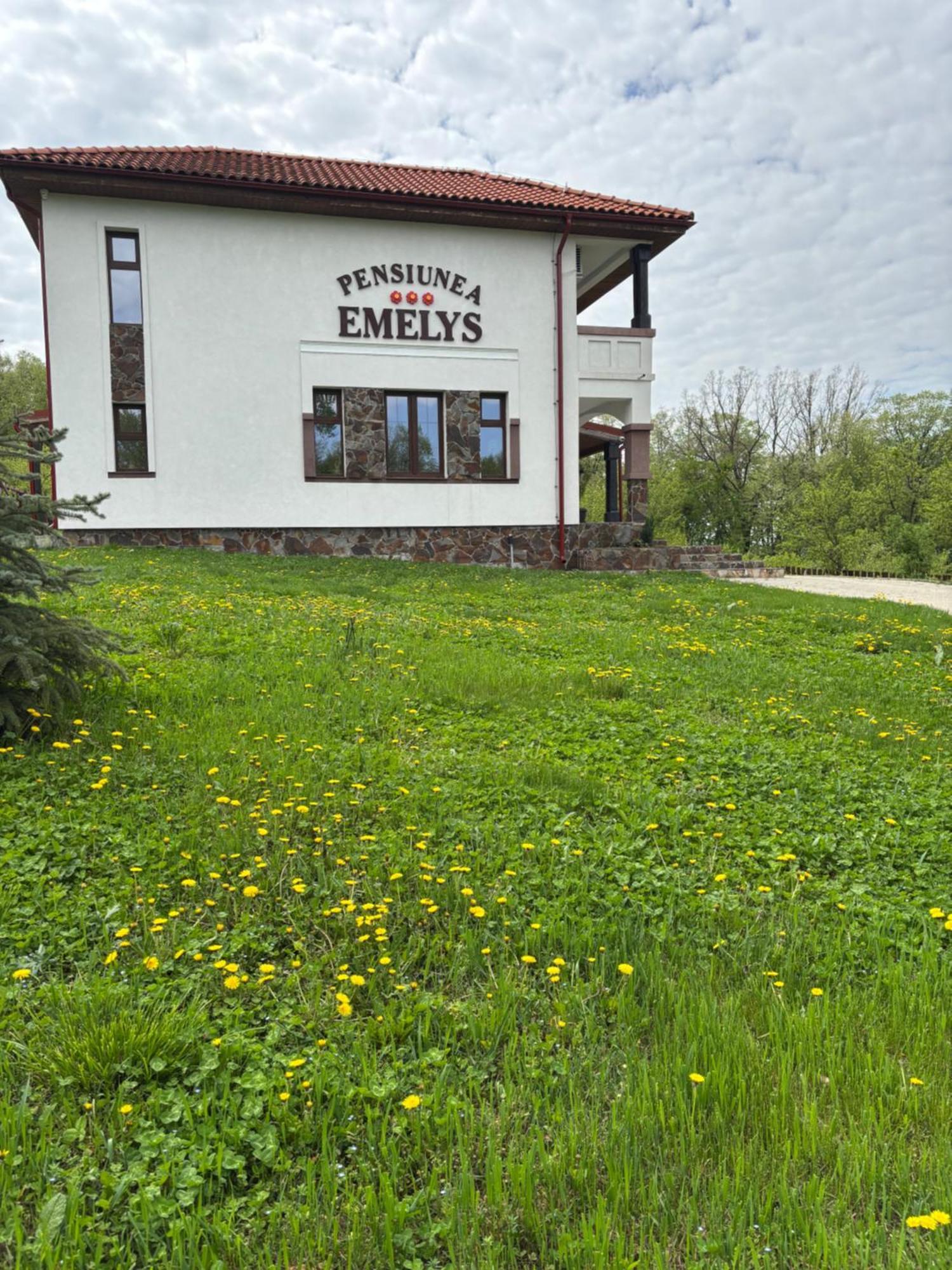 Pensiunea Emelys, Iasi Barnova Exterior foto